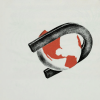 WEAK MAGNETS artwork