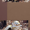 scare quotes artwork